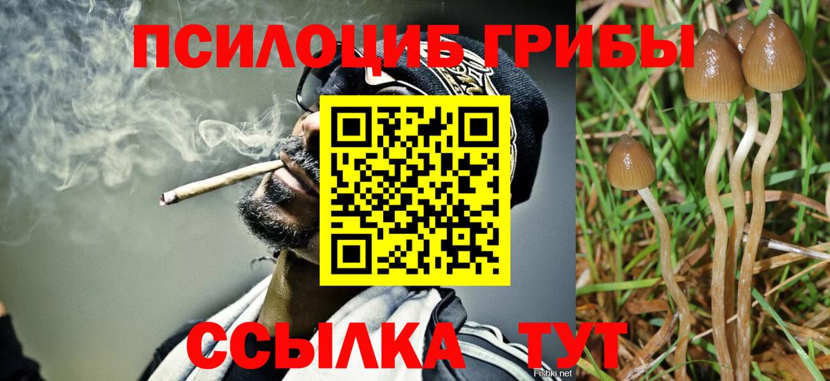 наркота  Вход с VPN  Лениногорск  Псилоцибиновые грибы MAGIC MUSHROOMS 