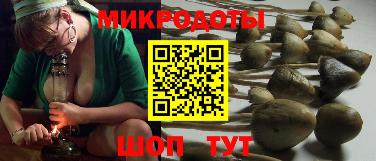 Псилоцибиновые грибы мухоморы Лениногорск